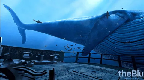 the blue VR app 