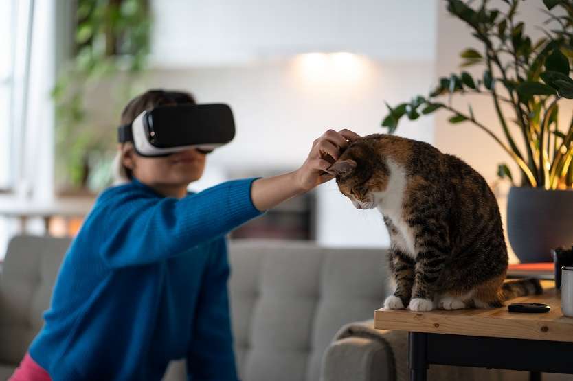 gifting virtual pet in metaverse 